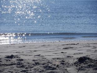 海の公園の砂浜に人魚が・・・！！