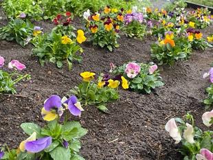 第7回ボランティアDAYを開催しました