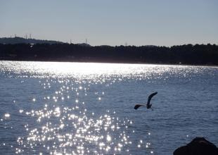 年末のごあいさつ