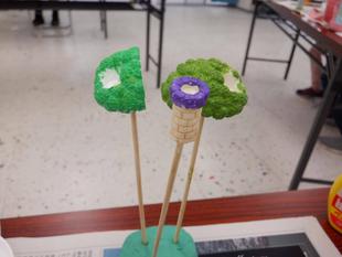 第14期　海の環境を考える親子講座「第8回　木の実を使ったクラフトづくり」を開催しました