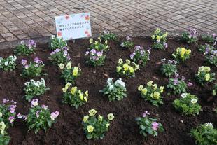 第8回ボランティアDAYを開催しました