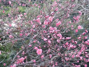 忘れられない職場体験