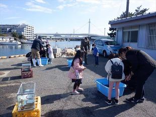 第14期海の環境を考える親子講座「第10回　金沢の漁港」を開催しました