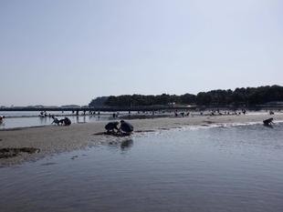 2023年『貝』情報