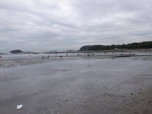 2023年『貝』情報 vol.2