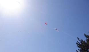 海風をうけ、大空に舞い上がる 凧！