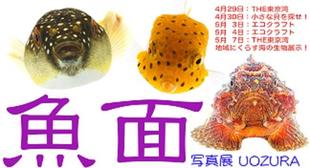 写真展「魚面」uozura ＆ わくわくワークショップ始まってます！