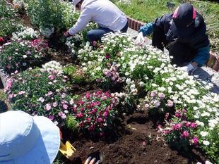  第1回海の公園ボランティアDAYを開催しました
