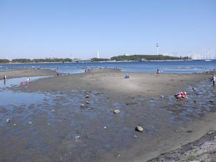 2023年『貝』情報　vol.3