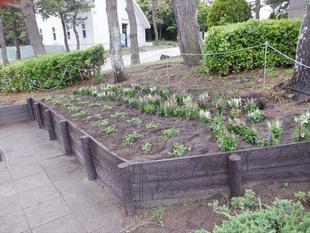 第2回海の公園ボランティアDAYを開催しました