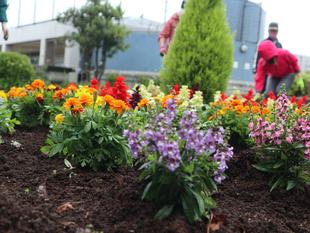 第3回海の公園ボランティアDAY＆花植え講習会を開催しました