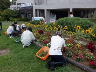 第4回海の公園ボランティアDAYを開催しました
