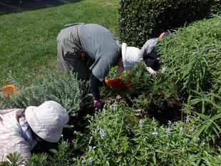 第5回ボランティアDAYを開催しました