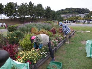 第6回ボランティアDAYを開催しました