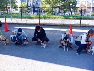 愛犬マナー教室を開催しました