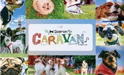 「海の公園シーサイドドッグラン2025秋」開催のお知らせ【11月15・16日(土日)】の写真