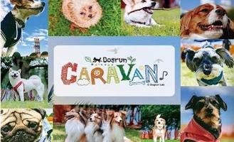 「海の公園シーサイドドッグラン2026」開催のお知らせ【1月10・11・12日（土日月祝）】の画像