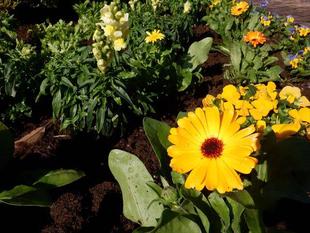 第8回ボランティアDAYを開催しました