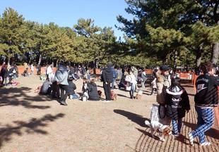 メリークリスマス🎄「海の公園シーサイドドッグラン2023冬」