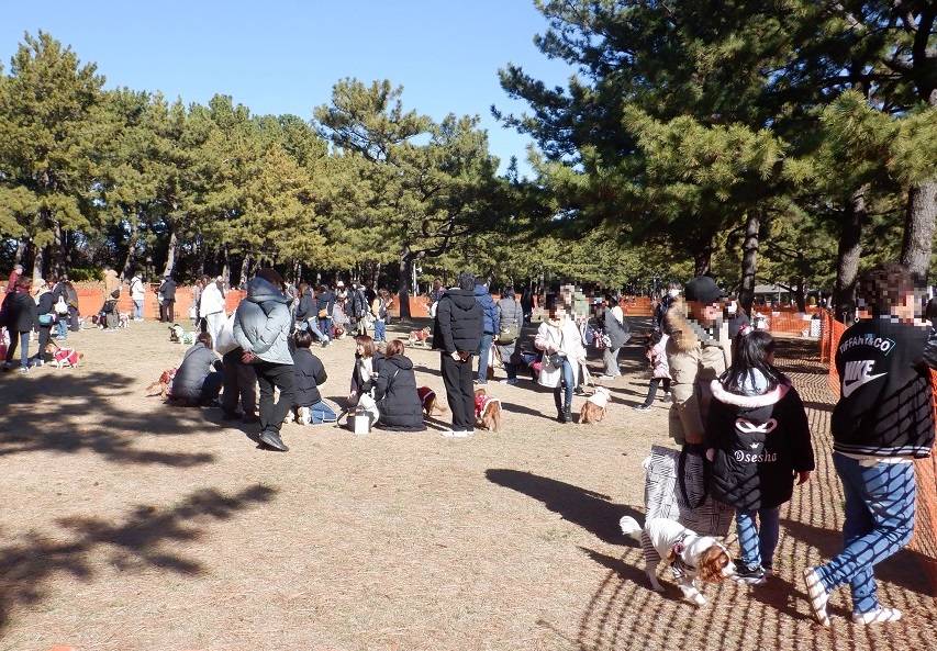 メリークリスマス🎄「海の公園シーサイドドッグラン2023冬」の写真
