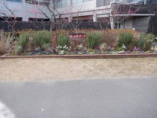 海の公園の職業体験