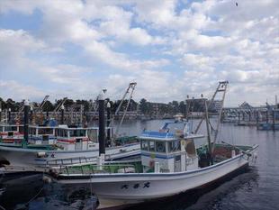 第15期海の環境を考える親子講座「第9回　金沢の漁港」を開催しました