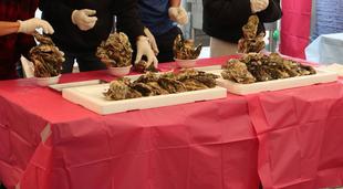 かき小屋　牡蠣の早積み♪