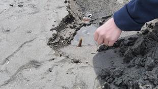 2024年『貝』情報 vol.2