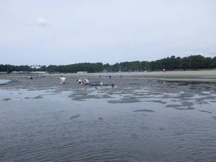 2024年『貝』情報 vol.3