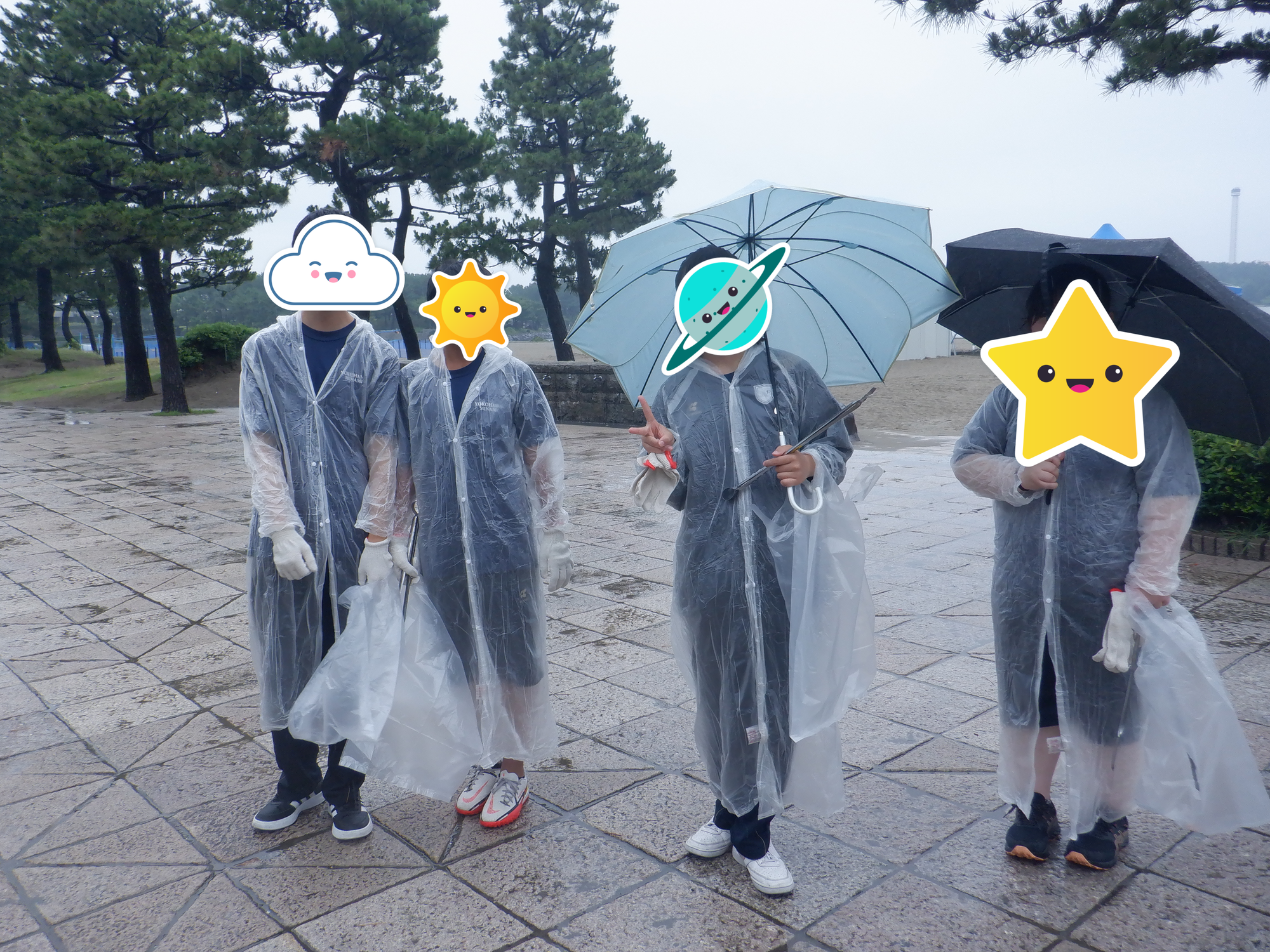 海の公園を職場体験!の写真