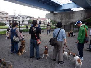 愛犬マナー教室を開催しました