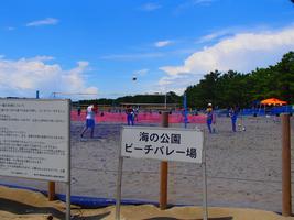 1月のビーチバレー大会開催のお知らせの画像