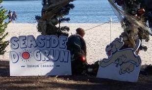 クリスマスを楽しもう🎄「シーサイドドッグラン2024winter」が開催されました