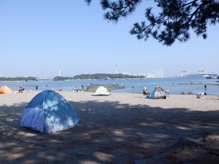 潮干狩りシーズン突入！？