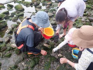 「磯場の生きもの観察」を実施しました