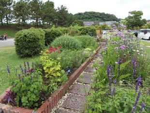 ボランティアDAY ＆「ナチュラルガーデン講座」初夏編