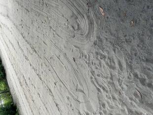 犬の遊び場にレーキを置いています