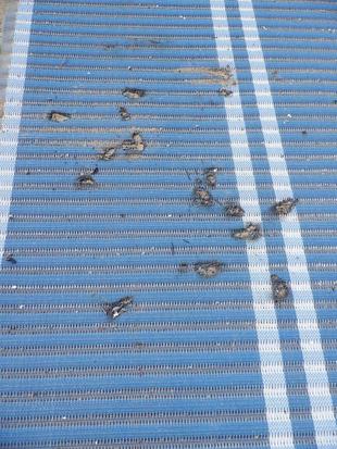 残念なお知らせ😢・・モビマットを撤収します