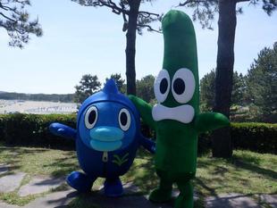 アマモ場再生活動を行っています【11月~12月播種】