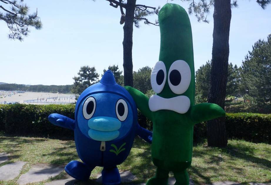 アマモ場再生活動「アマモの種まき」を行いました！の写真