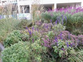 12/6（土）「海の公園花壇作り研修会」＆「海の公園ボランティアＤＡＹ」参加者募集！