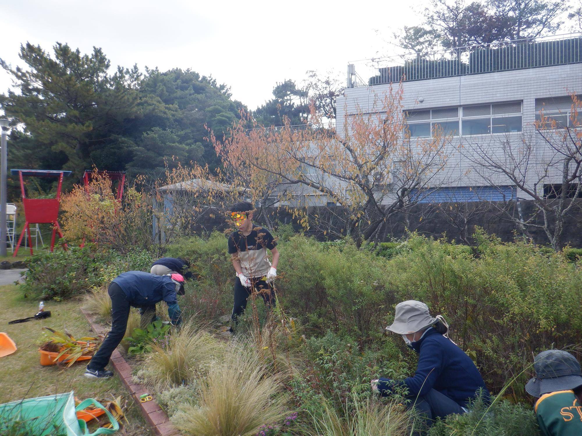 ボランティアのみなさんと花壇の手入れをしました。の写真