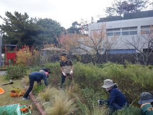 ボランティアのみなさんと花壇の手入れをしました。