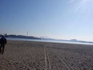 海の公園管理センターでの職業体験記録