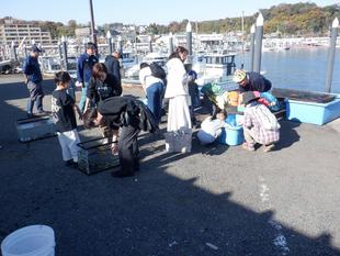 環境学習講座「漁港見学とアナゴのさばき方」を実施しました