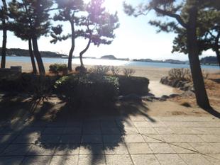 海の公園での貴重な体験