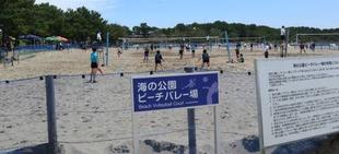 ビーチバレーボールスクールのお知らせ【1月25日（日）】