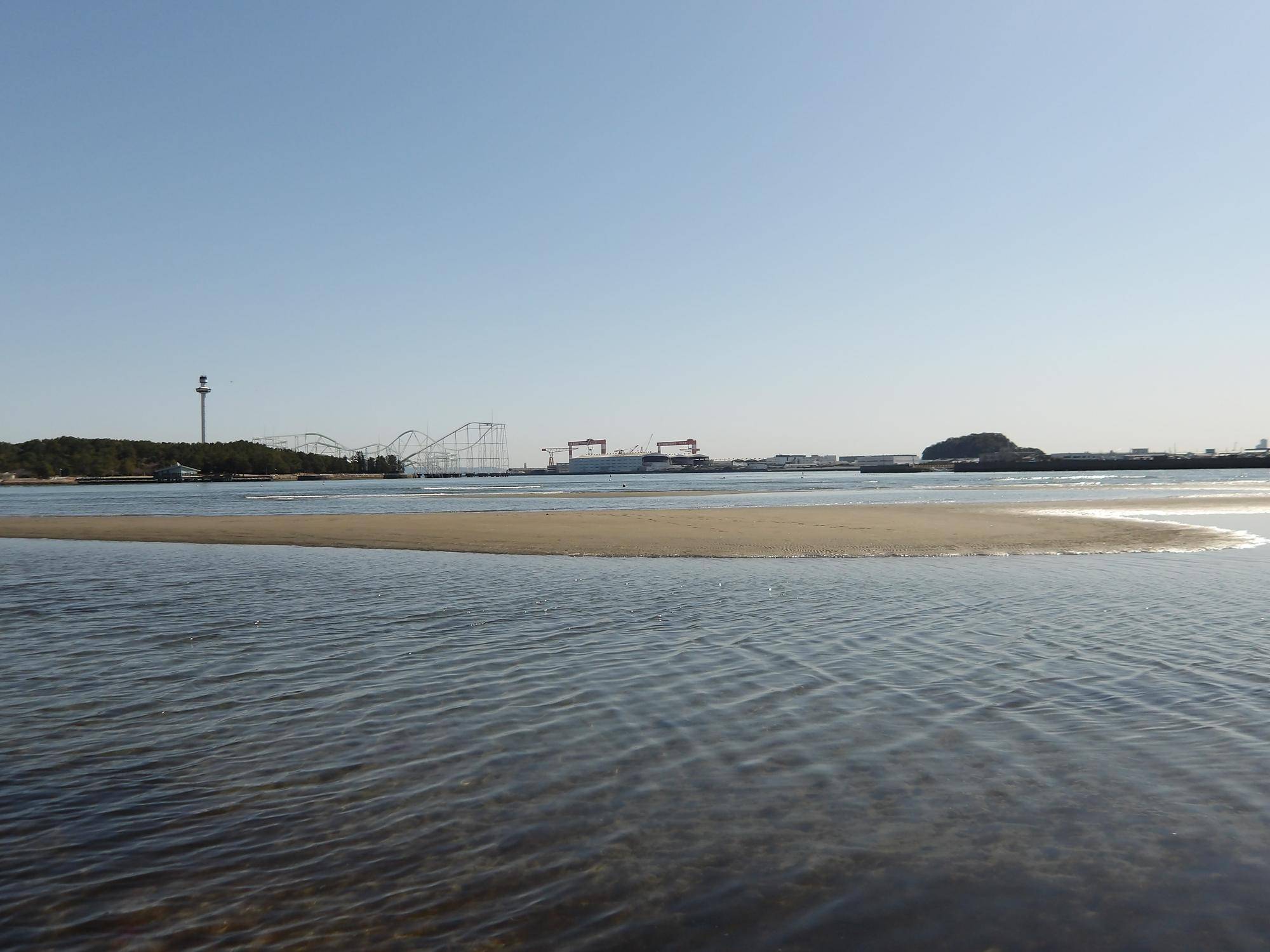 潮干狩り！試し掘り！の写真