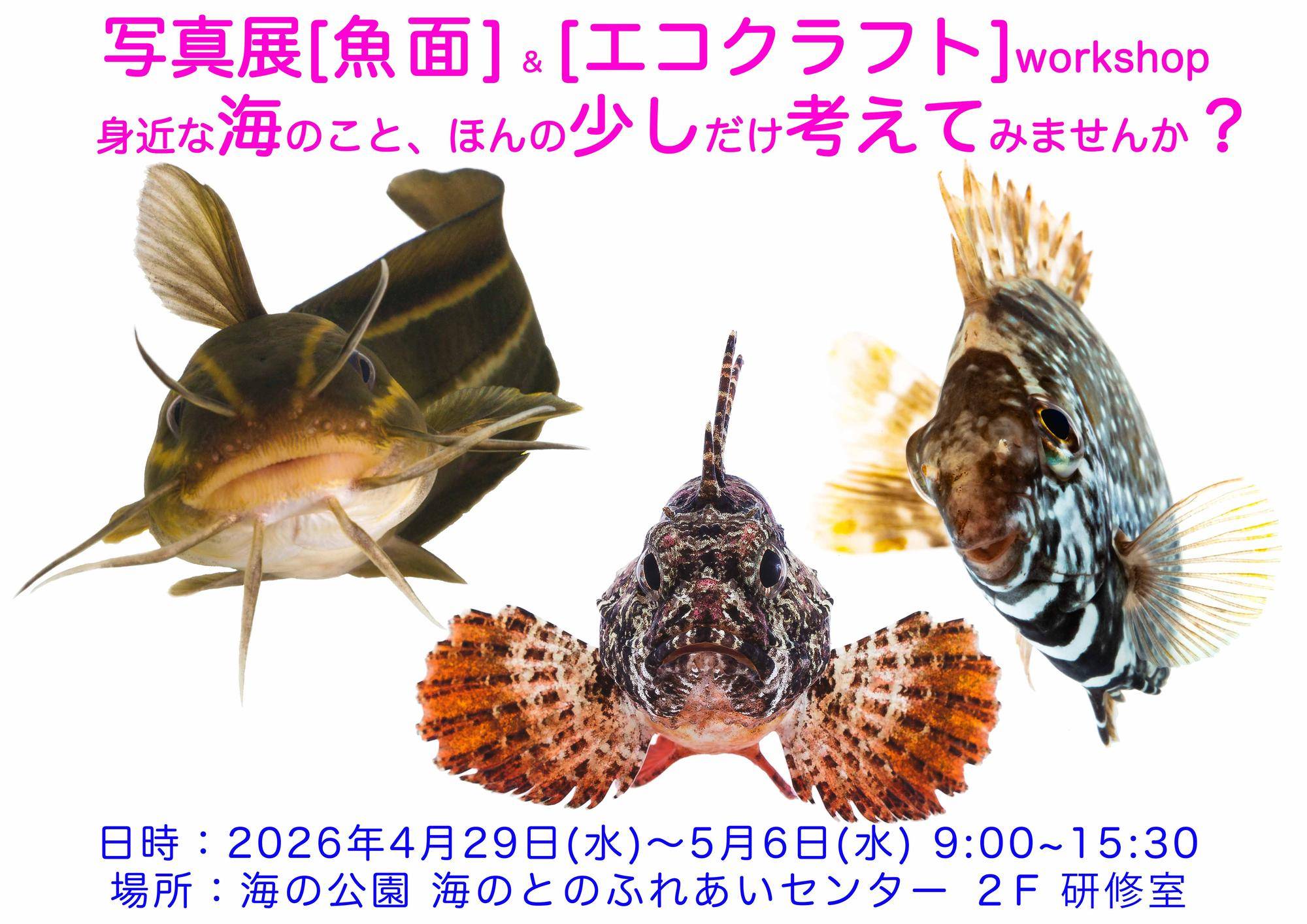 今年も写真展「魚面」uozura ＆ わくわくワークショップを行います！　　4月29日（水）～５月６日（水）の写真