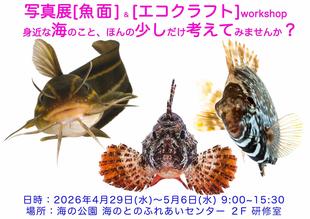今年も写真展「魚面」uozura ＆ わくわくワークショップを行います！　　4月29日（水）～５月６日（水）